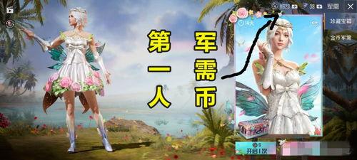 吃鸡军需币军需爆料最新,军需盛宴即将开启! 第3张 吃鸡军需币军需爆料最新,军需盛宴即将开启! 第3张